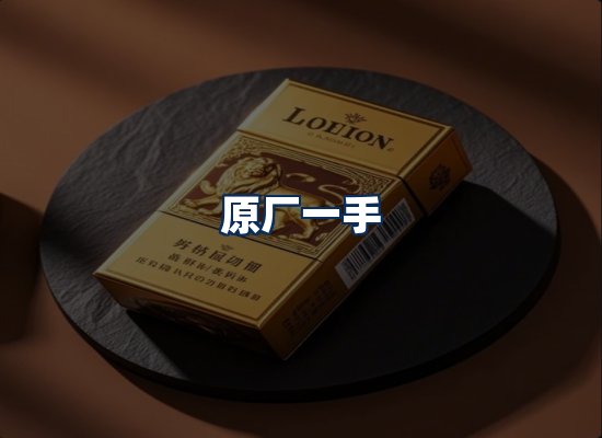 专业团队办公环境